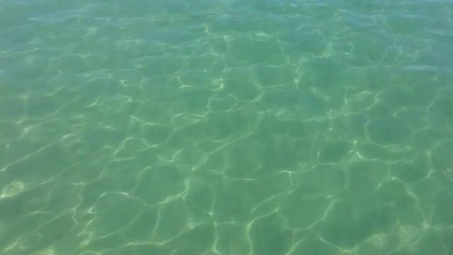 Красивое дно моря в лучах солнца с чистейшей водой, просто наслаждайтесь Архипо-Осиповка 10.09.2021 смотреть онлайн