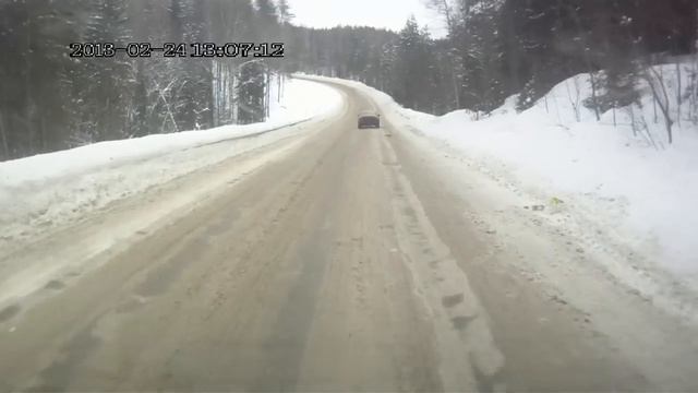 белкам тоже нужны острые ощущения смотреть онлайн