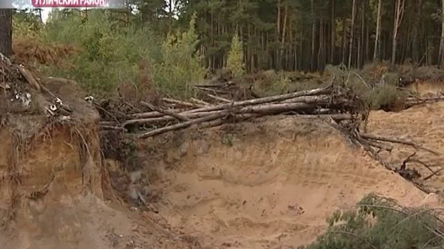 Масштабы незаконной вырубки лесов в Ярославской области поражают смотреть онлайн