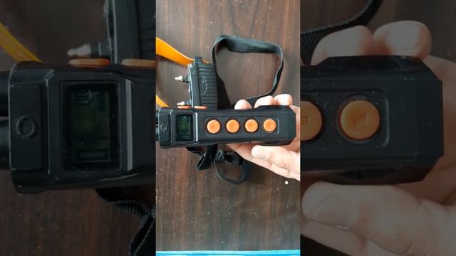 электронный ошейник для собак ат 919 с. смотреть онлайн