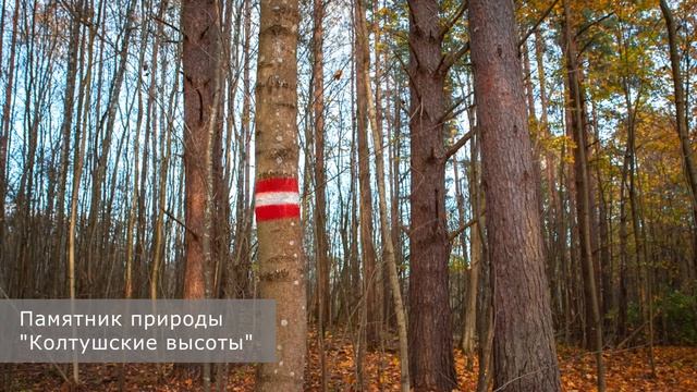 03. От щита «Лещина обыкновенная» до щита «Земноводные и пресмыкающиеся» смотреть онлайн