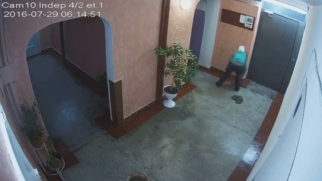 Обычное утро Зинаиды смотреть онлайн