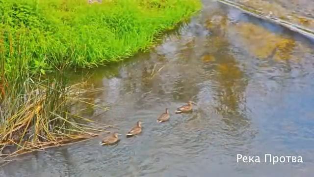 Город Верея достопримечательности Фотоочерк Михаила Акимова смотреть онлайн