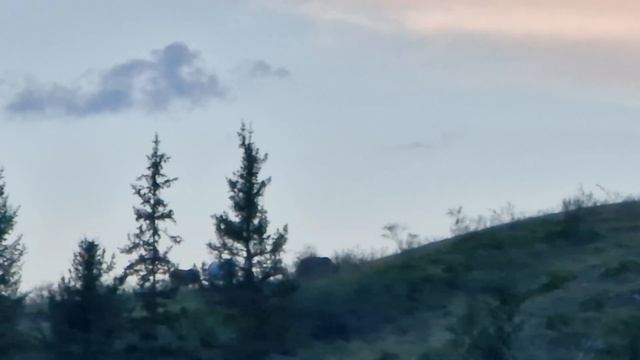Алтай.Река Катунь.Сплав на катамаранах. смотреть онлайн