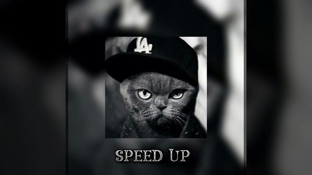 То от чего без ума (speed up) MONATIK смотреть онлайн