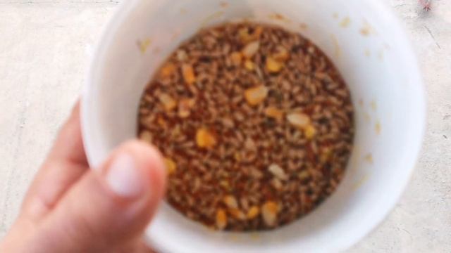 100% ЭТО помогает моим голубям оставаться здоровыми!!! 100% THIS helps my pigeons stay healthy!!! смотреть онлайн