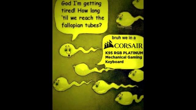 folder dump 1 смотреть онлайн