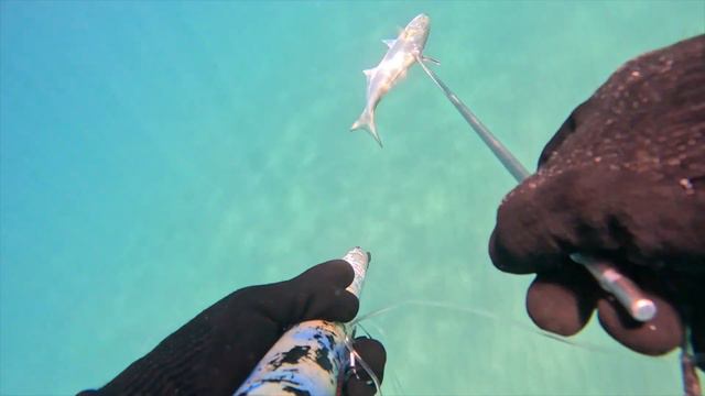 Подводная охота в море с приключениями -1 -августа! Spearfishing old men in the sea! 1.08.2023 смотреть онлайн