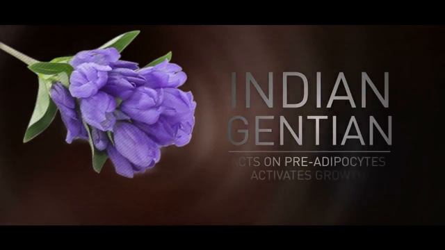 Phyto Phytologist15 - высокоэффективный концентрат против выпадения волос смотреть онлайн