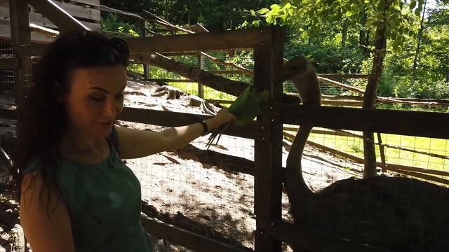 Посёлок Новомихайловский #ТуапсинскийРайон #ПосёлокНовомихайловский #новомихайловка смотреть онлайн