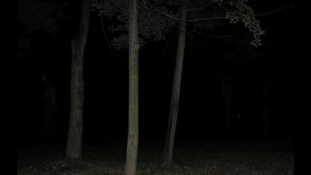 Binked today? 5 серия смотреть онлайн