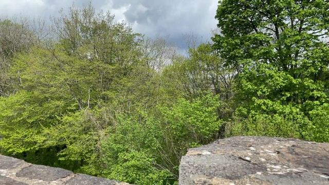Chateau de Bourscheid смотреть онлайн