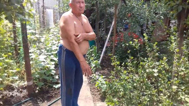 Июнь 2018 Дача ч.2 смотреть онлайн