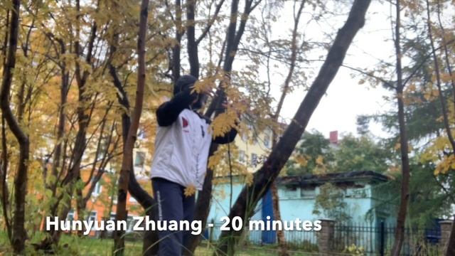 (1) Zhan Zhuang Yiquan. 40 Day 40 Minutes / Столбовое стояние Ицюань. 40 дней по 40 минут