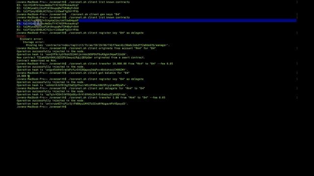 Connecting To Tezos the Alphanet and Zeronet смотреть онлайн