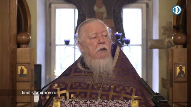 Гнома #60. Как жалко, что такого дурака воспитали! смотреть онлайн