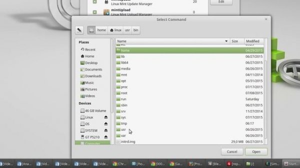 Linux Mint: How to automatically run programs on startup