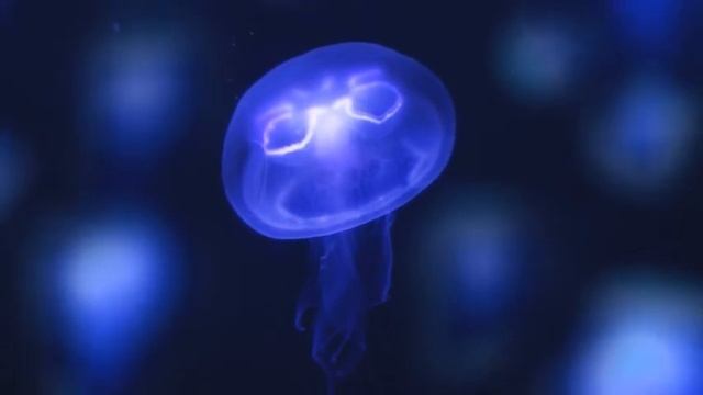 ОЧЕНЬ ПРИЯТНАЯ И КРАСИВАЯ МЕЛОДИЯ. ОЧЕНЬ ИНТЕРЕСНО. Музыка для расслабления, успокоения и отдыха