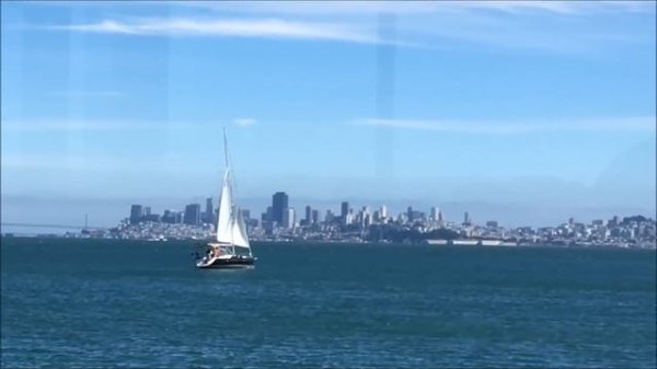 Chris Botti - Irresistible Bliss (A Lavender Hill Penthouse Suite Elongation)