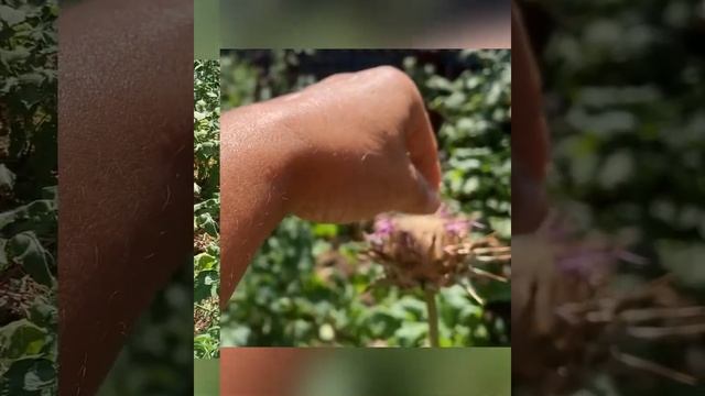 Делай То, Что Вдохновляет Других