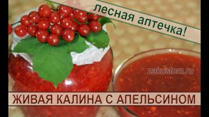 Живая калина с апельсином: вкуснейший, простой рецепт заготовки калины на зиму
