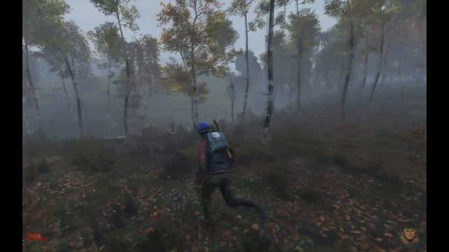 Как начать в DayZ №1 смотреть онлайн