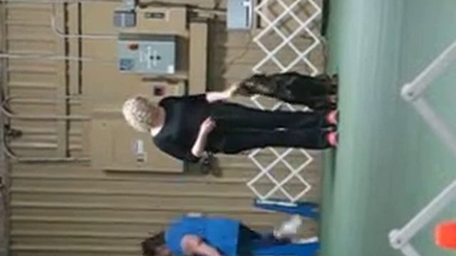 Nox - Obedience Class 1 смотреть онлайн