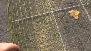 Вот это настоящая раколовка дорожка /// Действительно курутая снасть!