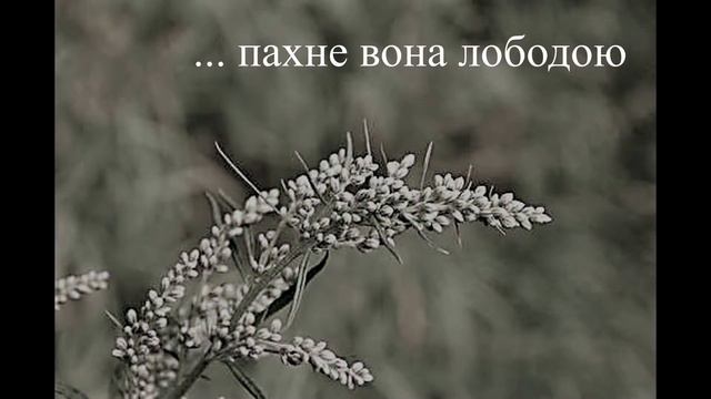 Так ніхто не кохав... смотреть онлайн