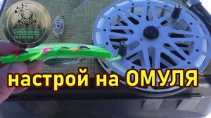 НАСТРОЙ НА ОМУЛЯ , РАБОЧИЕ МУХИ , НА ЧТО Я ЛОВЛЮ