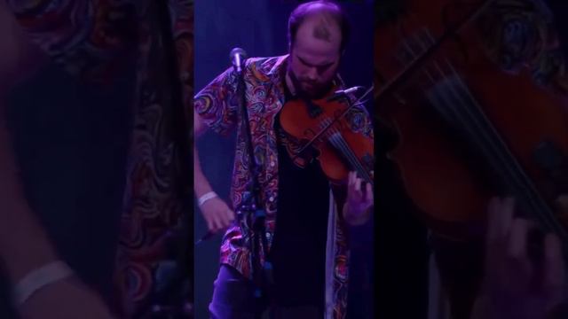 Fiddle jam in our song “Metamorphic Prophecy” смотреть онлайн