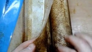 ПРИНЦИП РАБОТЫ МЕМБРАНЫ ОБРАТНОГО ОСМОСА