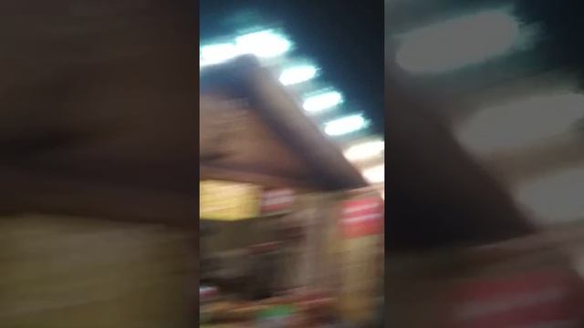 Как это 🌲 дерево 🌲 называется? смотреть онлайн