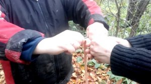 Подготовка свиной кишки- выворачиваем