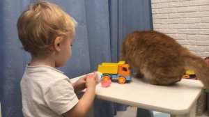 Малыш Саша КАК нужно любить животных