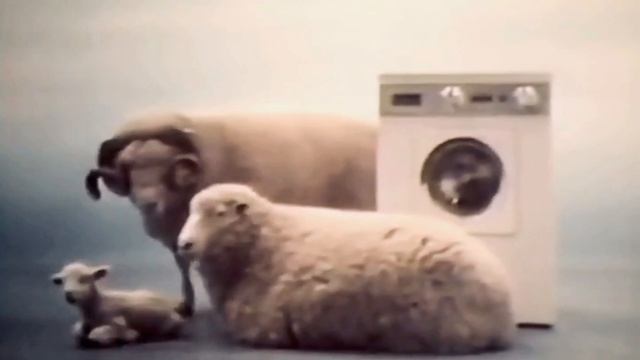 1978: Woolmark [Superwash] смотреть онлайн