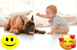 Дети и собаки! Дружба!