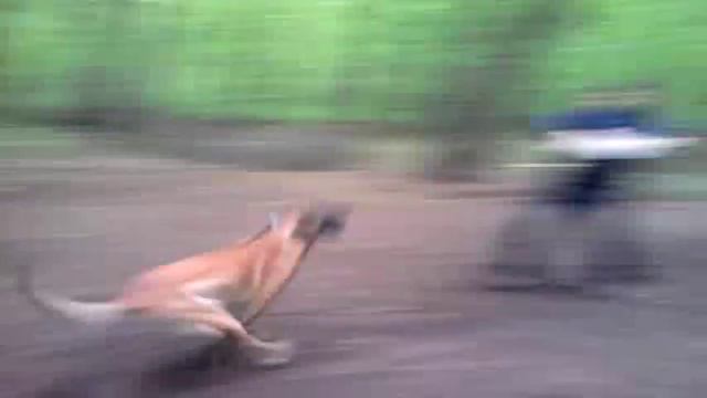 Защитная тренировка - лобовая атака. смотреть онлайн