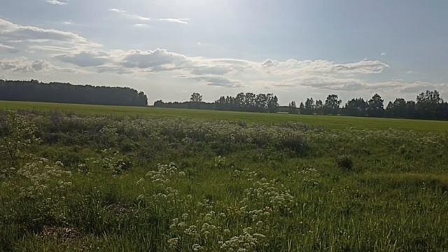 жизнь в деревне смотреть онлайн