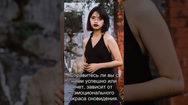 Сон дня: К чему снится Лай? смотреть онлайн