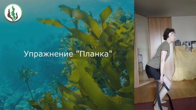 РАДЫ ПРЕДСТАВИТЬ ВАМ НЕКОТОРЫЕ УПРАЖНЕНИЯ ИЗ НАПРАВЛЕНИЯ ИЗ НАПРАВЛЕНИЯ ОСТЕОКИНЕЗИС смотреть онлайн