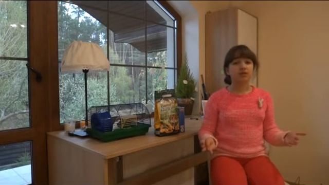 Уход за хомячком/ Моё животное смотреть онлайн