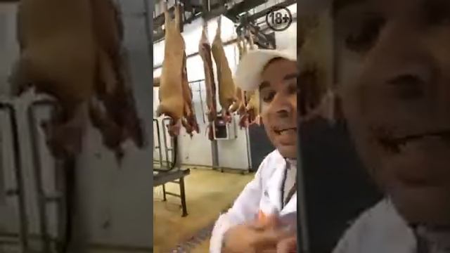 Роман Гольдман провел экскурсию по МПК Агроэлита смотреть онлайн