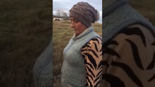 Местные жители загрязняют озеро Сафьян смотреть онлайн