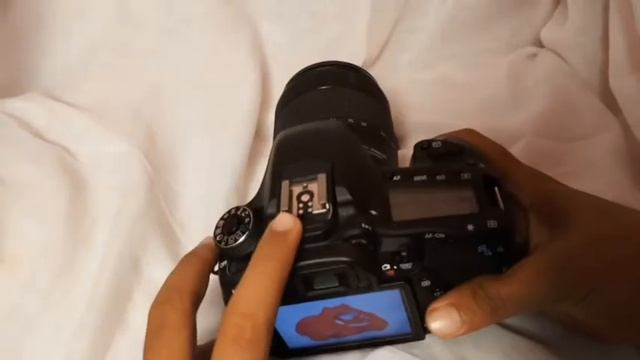 Canon 80D Beginners Tutorial | User Guide | Buttons and Menu Explained in Hindi смотреть онлайн