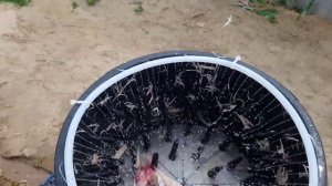 Перосъемная машина из стиральной машины! Куриная карусель.