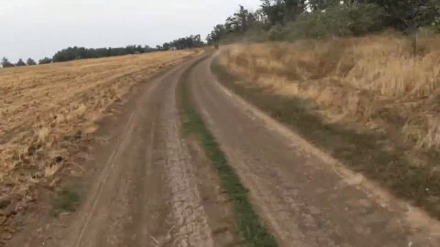 Спортивные мотоциклы валят по полям ! смотреть онлайн