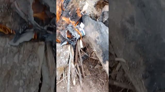 сонник села за руль смотреть онлайн
