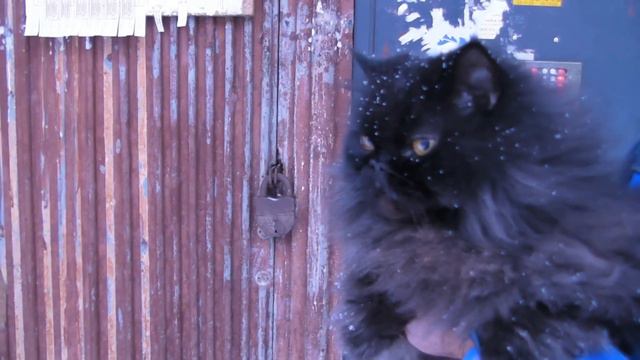 Кирилл первый раз в снегу смотреть онлайн