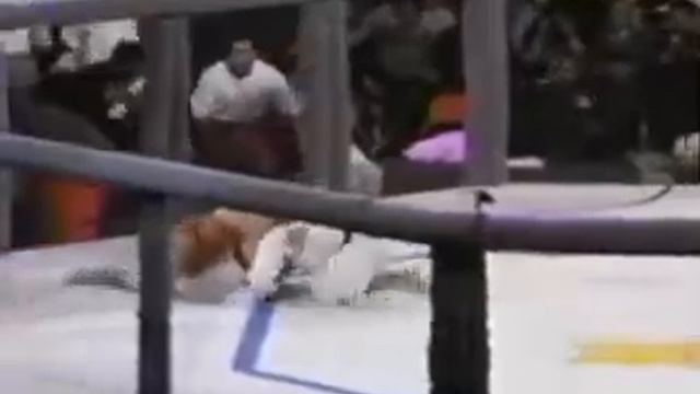 Royce Gracie.MP4